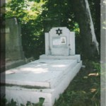 модедел 3005