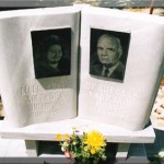 модел 2006.2