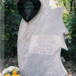 модел 2008.2