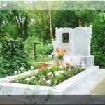 модел 2010.1