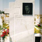 модел 2012.1