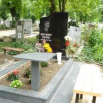 модел 1029