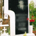 модел 2009.3