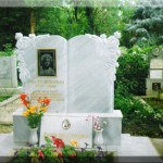 модел 2010.3