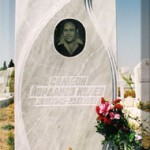модел 2011.3