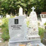 модел 2017